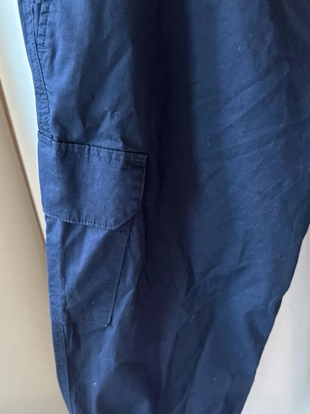Banana Republic Navy Cargo Pants